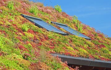Sharpley Heath living roof systems