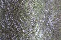 Sharpley Heath fibreglass roof work